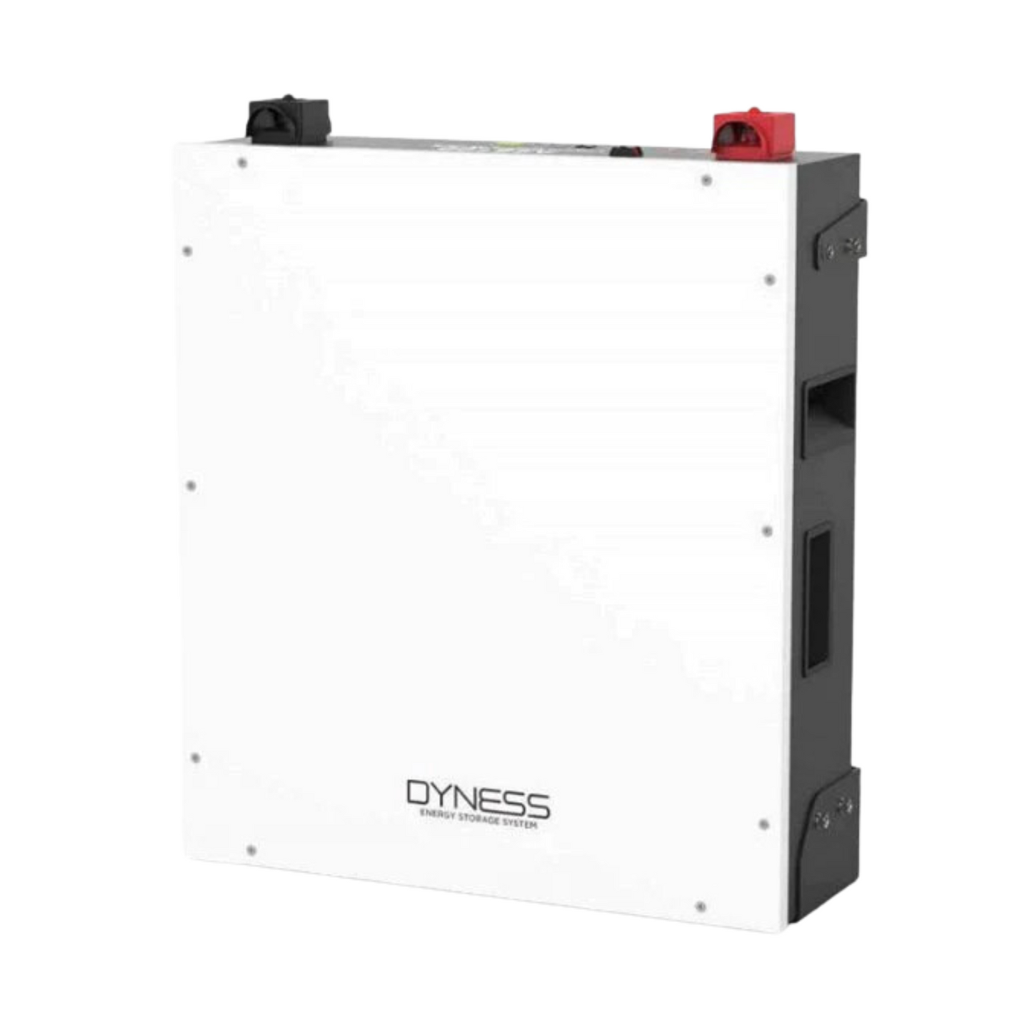 RCT Dyness Lithium Battery A48100 48V DC 4.8 kWh